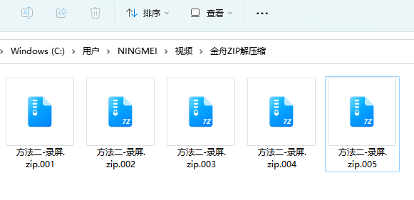 zip1