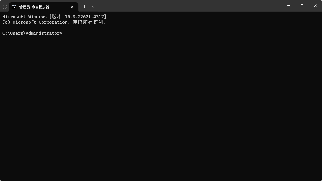 0xc0000053