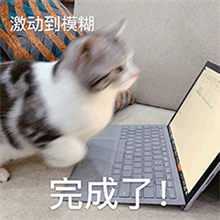 鼠标连点器12