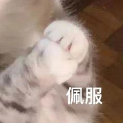 重复照片清理15