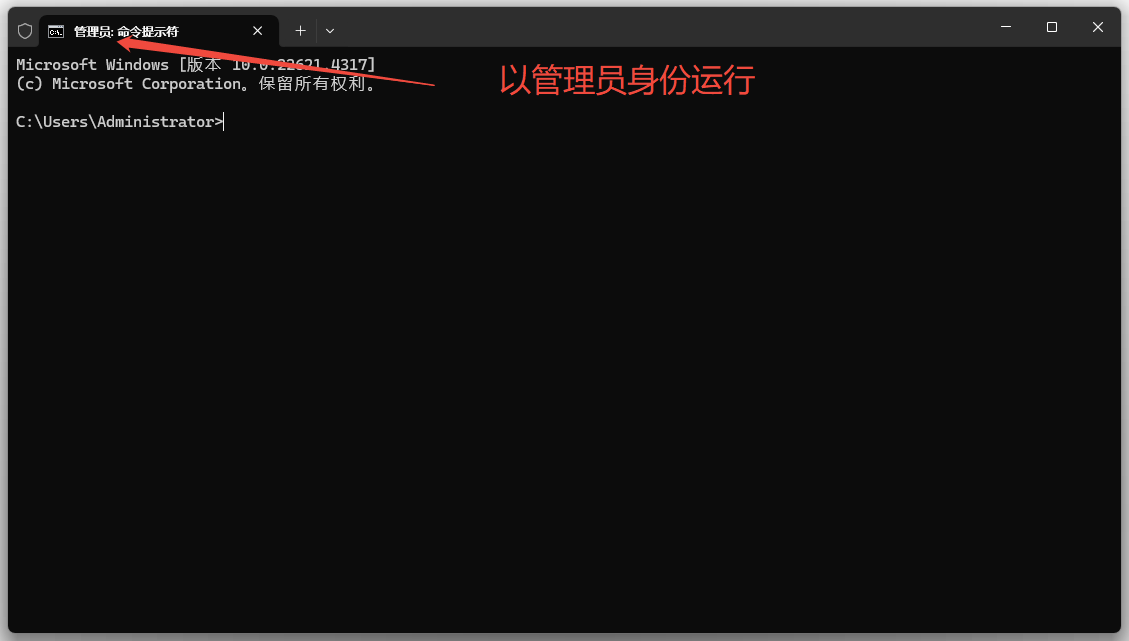 versioncue.dll 2