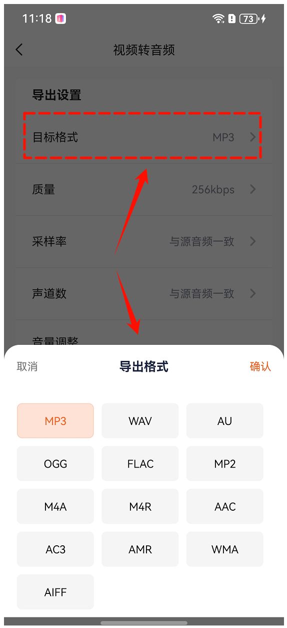 视频中提取背景音频3
