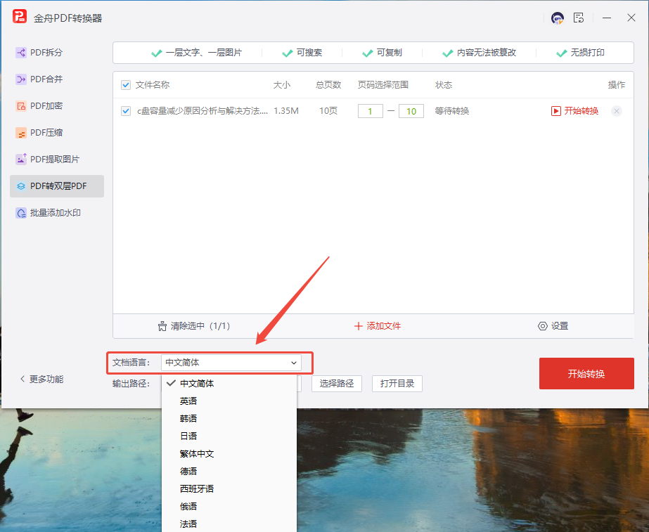 PDF转双层PDF5