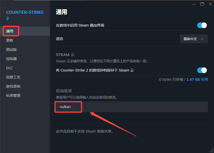 CS2报错DX117