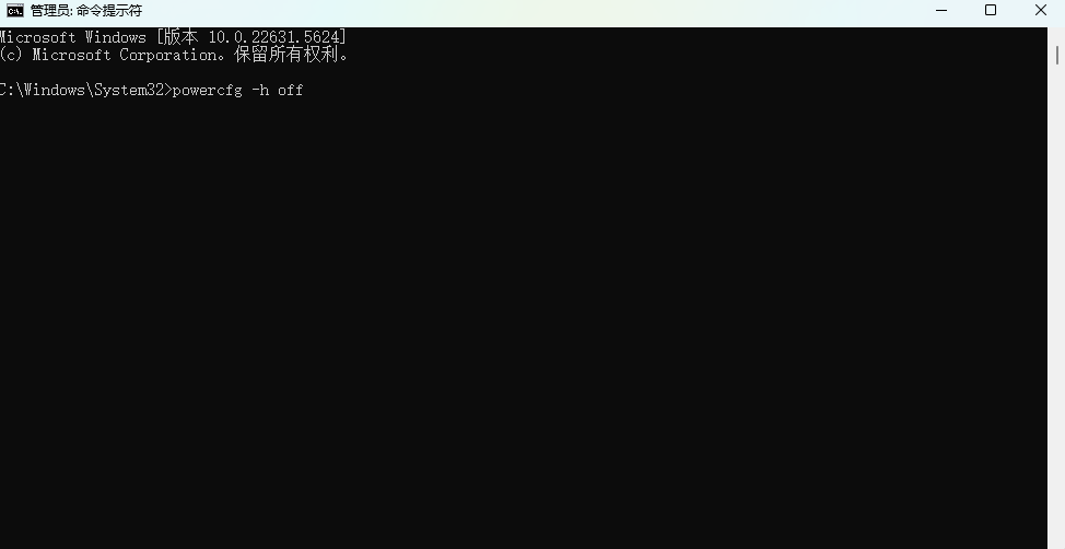 pagefile.sys13