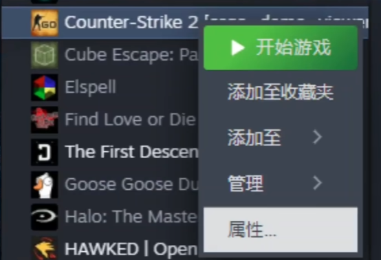 CS2报错13