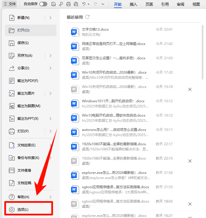wps选项.png